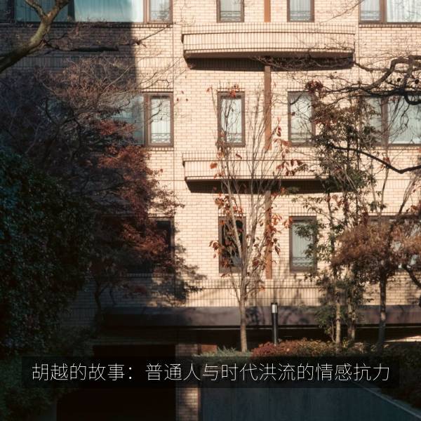 胡越的故事：普通人与时代洪流的情感抗力 海报