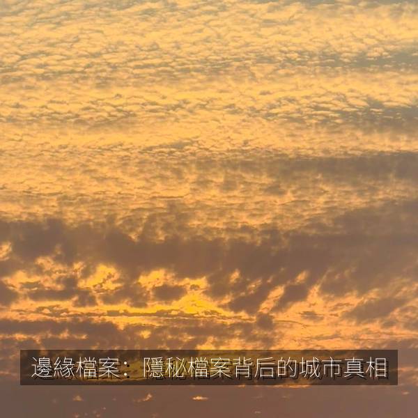 邊緣檔案：隱秘檔案背后的城市真相 海报