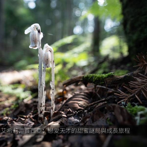 艾希莉．賈西亞：戀愛天才的甜蜜謎局與成長旅程 海报